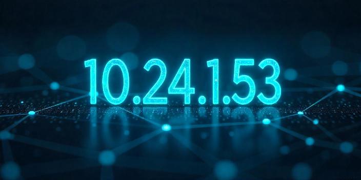 10.24.1.53 Explained: The Definitive Guide to Private IP Addresses