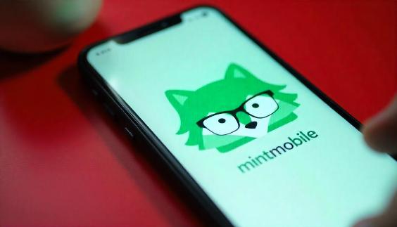 Mint Mobile International Roaming: How It Works, Worth It?